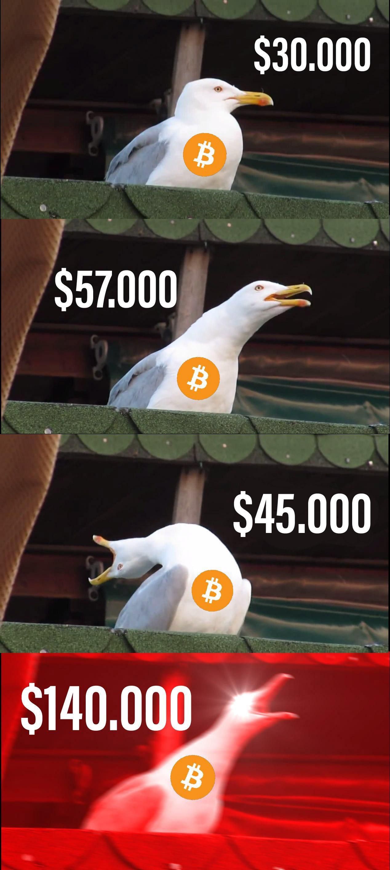 meme reddit btc.jpg