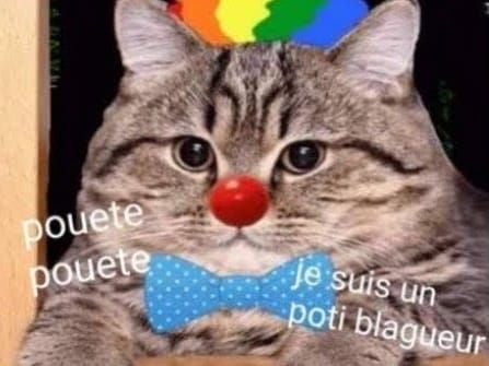 lolcat-petit-blagueur-poti-blagueur.jpg